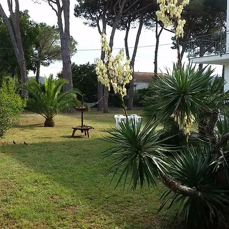 Ricci Apartment